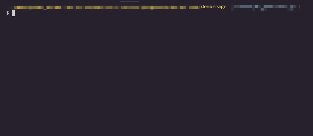 images/readme/npm-run-test.gif